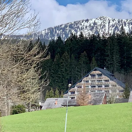 Slunný V Sonnenalm - Bad Mitterndorf Apartment