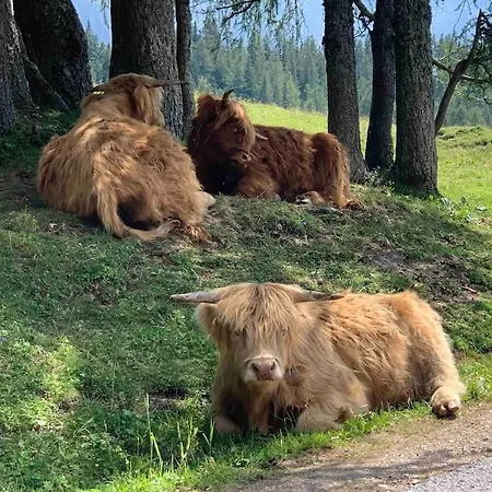 Slunny V Sonnenalm - Bad Mitterndorf Appartement Reith (Salzkammergut)
