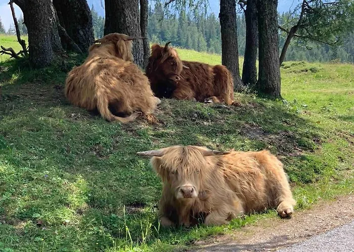 Slunny V Sonnenalm - Bad Mitterndorf Apartament Reith (Salzkammergut)