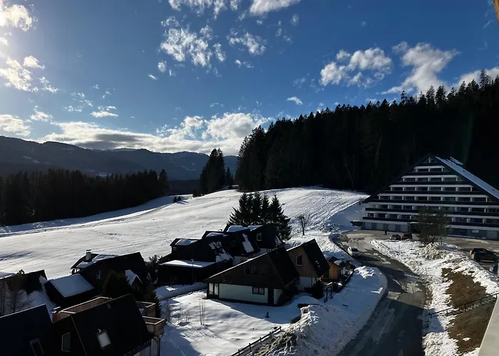 Slunny V Sonnenalm - Bad Mitterndorf Apartment *